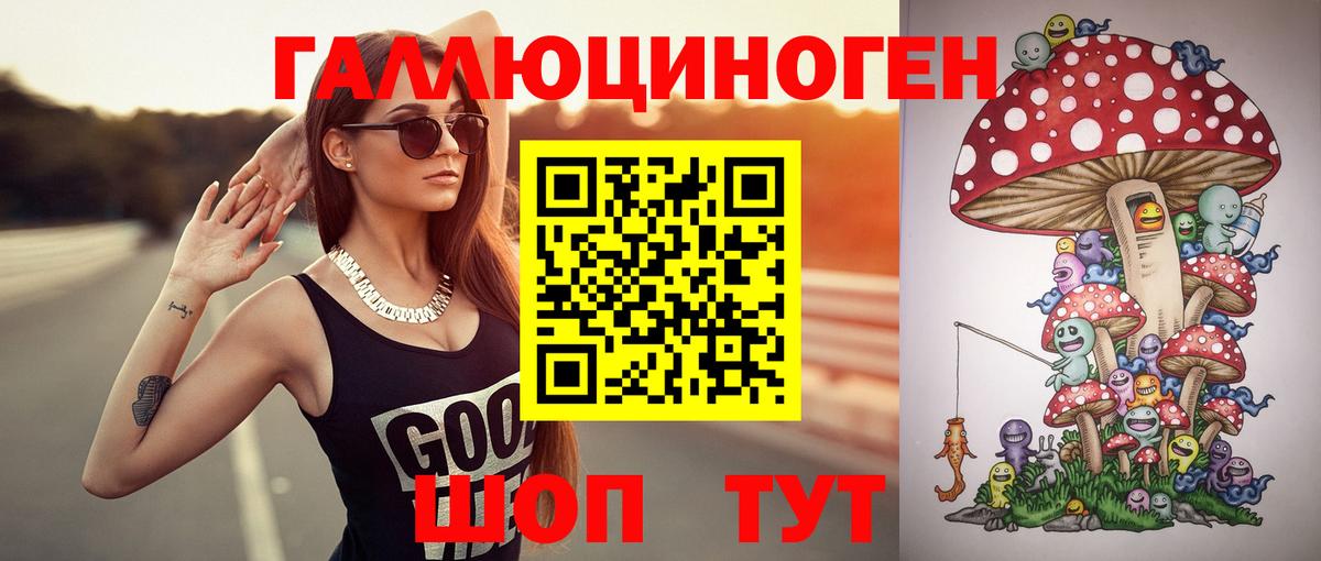 Крымск  Псилоцибиновые грибы GOLDEN TEACHER  Вход с VPN 